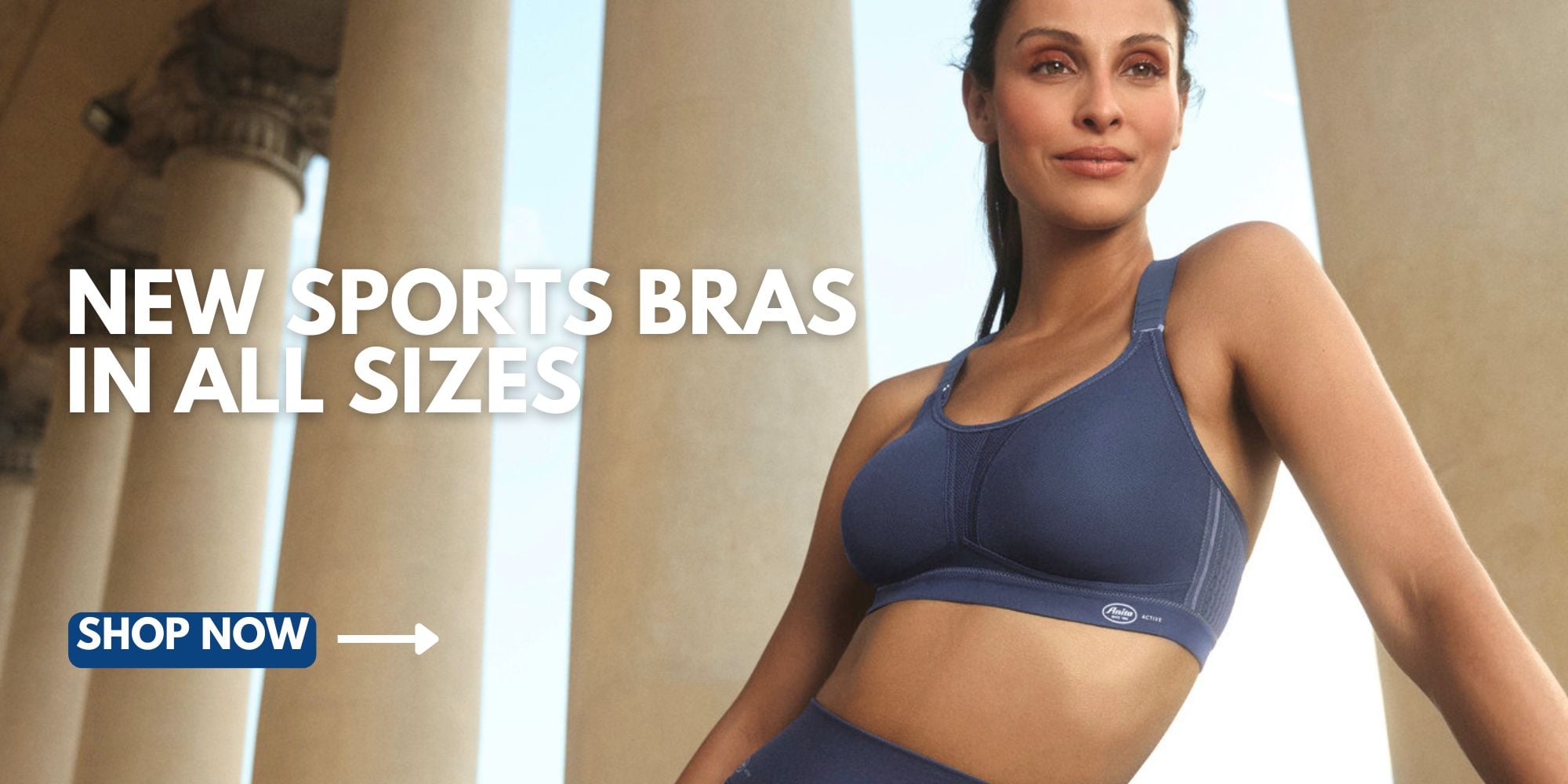 New Sports Bras in all sizes